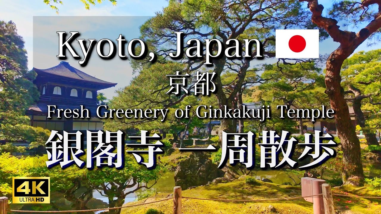 Experience the grandeur of Ginkaku-ji Temple on an immersive walking tour.