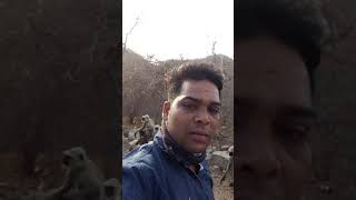 preview picture of video 'GORAM GHAT NEW 2019 VIDEO'