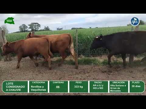 Video del lote L0-000860