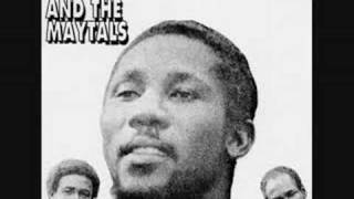 Toots & The Maytals - Take a Look in the Mirror