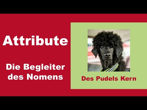 Attribute - 5 Satzteile, die vom Nomen abhängen   (B2-C1)