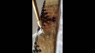 Dye Bleed Removal Woven Turkish Rug