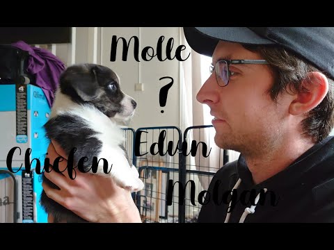 Ytterligare utökning i familjen | vlogg