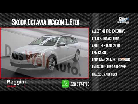 USATO REGGINI - SKODA OCTAVIA E SUPERB - DAS WELTAUTO