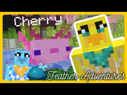 Feather Adventures : CHERRY BLOSSOM HILL! - {393}