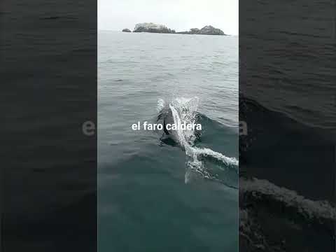 caldera atacama chile