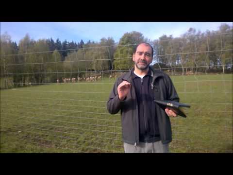 Grundlagen des christlichen Glaubens 10: Was kommt zuerst - Wiedergeburt oder Bekehrung? von SDG