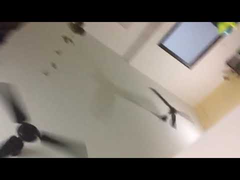 Pranay 6 month cake cutting