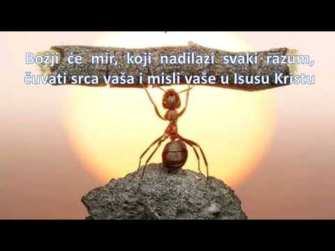 OBESHRABRENJE- Što govori BOG?