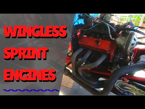 The Engines We Run In Our Wingless Sprints