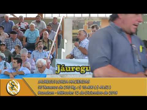 12-12-18 Venta de Machos - Jauregui Lorda Haciendas - Brandsen