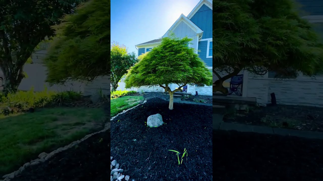 #stoneveneer #stonemason #stuccoremediation #company #foryourinspiration #munozplastering