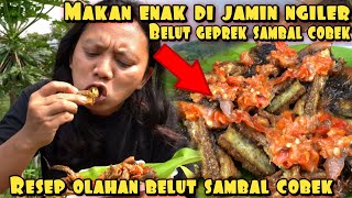 Download lagu BELUT GEPREK SAMBAL COBEK BIKIN SELERA NAPSU MAKAN BERTAMBAH mp3