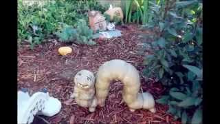 caro‘s mini fairy tale garden