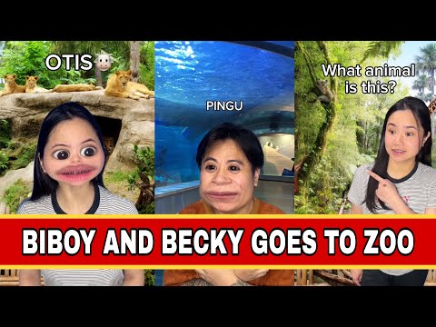 BIBOY & BECKY’S FUNNY MOMENTS IN THE ZOO🤣🦁🦭 #trendingshorts #relatable #shorts