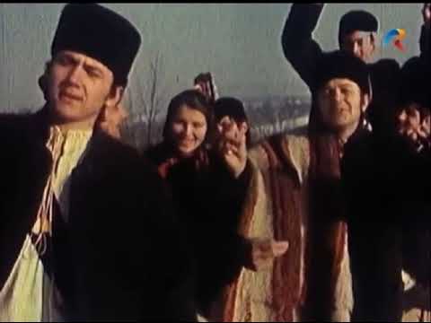 Gheorghe Turda - De ce beau eu câte-un pic - Arhivă