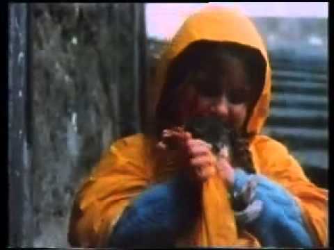 Storici Spot degli anni 80 DOVE CE' BARILLA CE' CASA