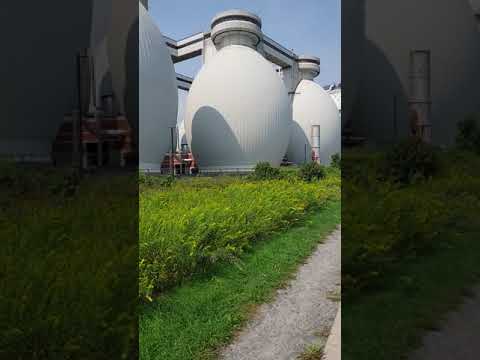Biking on Deer Island, Winthrop,  MA