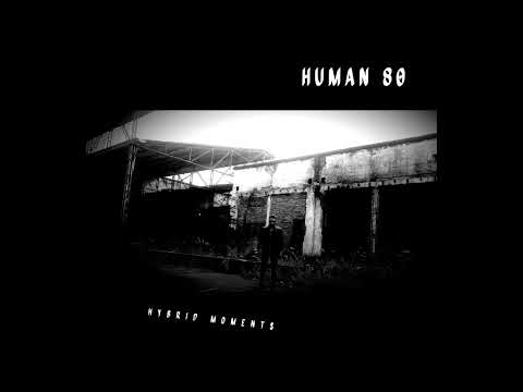 Human 80 - Hybrid Moments