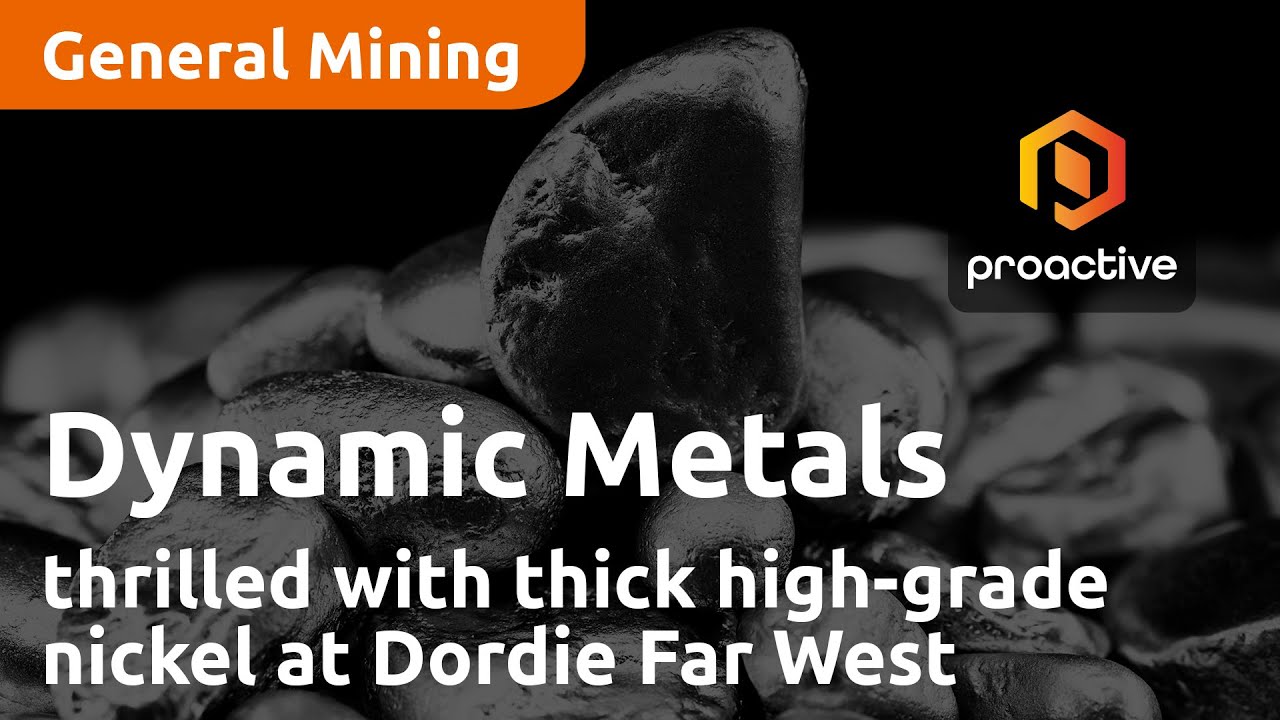 Dynamic Metals thrilled with thick high-grade nickel at Dordie Far West