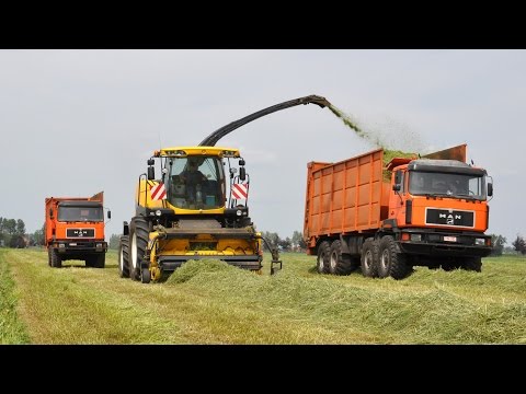 New Holland FR600 + M.A.N. silagetrucks - Loonw. Neyt-Van Laere - gras hakslen