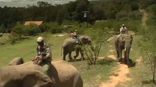 preview picture of video 'Addo Elephant Back Safaris Eastern Cape South Africa'
