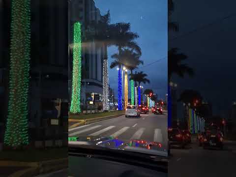 ✨️ #youtube #shortsvideo #itajaí #santacatarina #brasil #world #travel #lifestyle #vibes #natal #bc