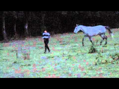 Runaway With My H E A R T