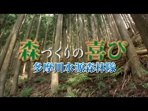 森づくりの喜び～多摩川水源森林隊：本編