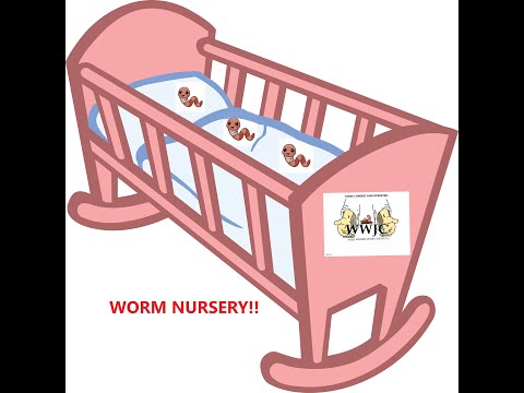 Worm Cocoon Nursery Bins