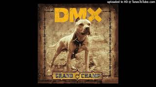 DMX - We Go Hard (Ft. Cam&#39;ron)