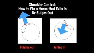 Shoulder Control: How to Correct a Horse that Drops the Shoulder in or Bulges out