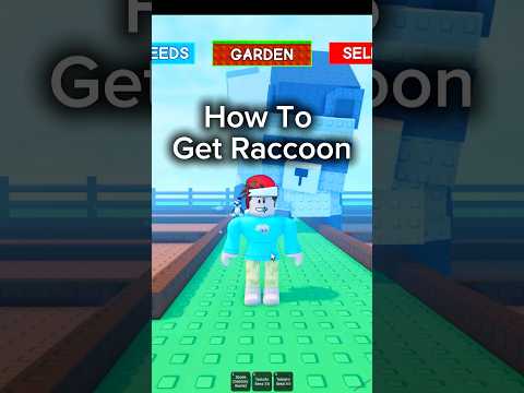 How You Can Still Get A Raccoon In Roblox Grow A Garden #roblox #growagarden #giveaway