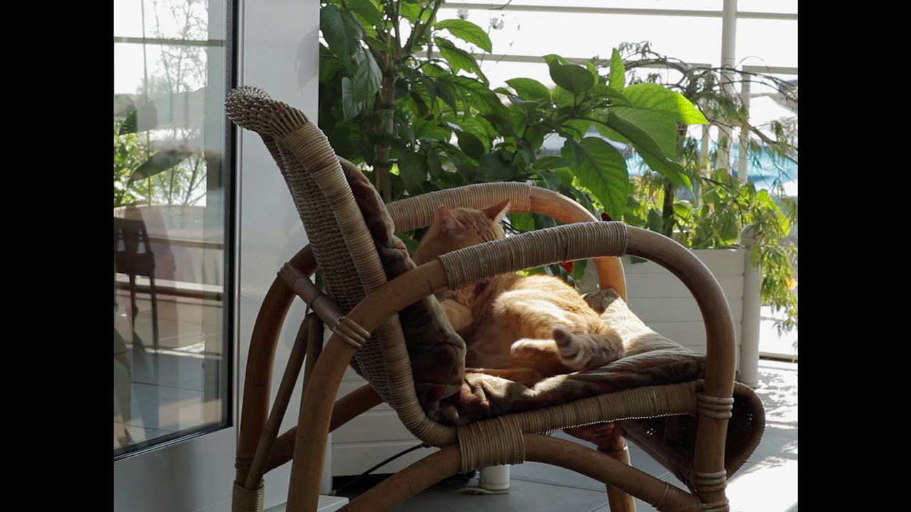 Où en êtes-vous, Jean-Marie Straub ? | Cinéma | Centre Pompidou