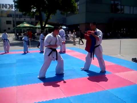 Senpai Yanitsa Stefanova - Shinkyokushinkai Karate Demonstration