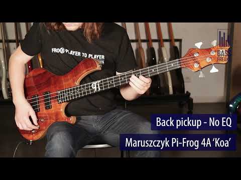 Maruszczyk Pi-Frog 4A 'Koa'  Live Demo - BassFreaks.net