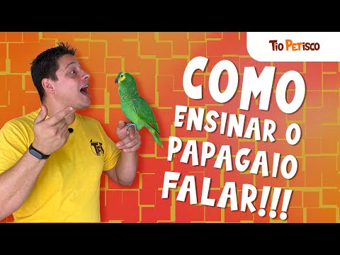 How to teach a parrot to talk