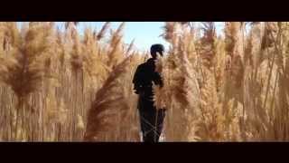 Dear Fellow Traveler