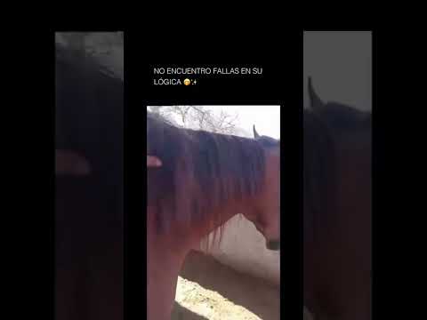 Yegua igual a mujer #comedy #humor #historia