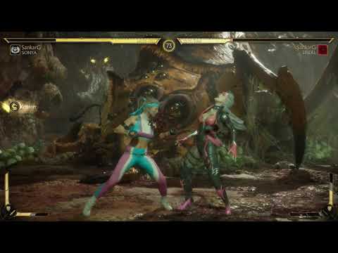 MK11 sonya blade what did you say new brutality