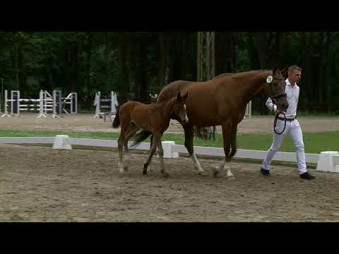 Hermeling, Feinrich-Jazz-Gribaldi