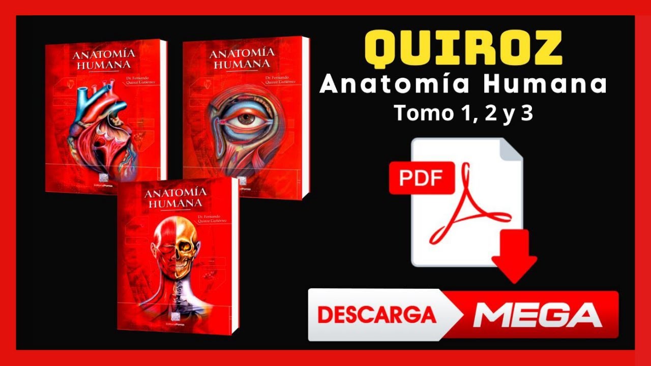 Anatomía de Quiroz  3 Tomos ✅Descargar PDF GRATIS✅