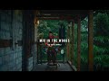 A Melodic House Mix Beneath the Rain & Pines | RÜFÜS DU SOL, Ben Böhmer, Jan Blomqvist | Zen House.
