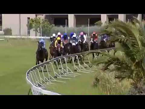 Oh Susanna - 2019 Paddock Stakes