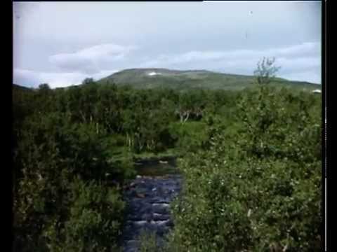 Segeltorps scoutkår - Fjällen 1964
