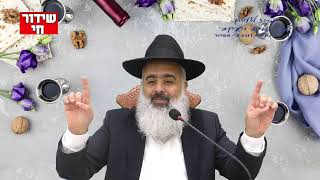 פלא יועץ - תסמכו על ה׳ יתברך שיהיה סופר בסדר בליל הסדר...