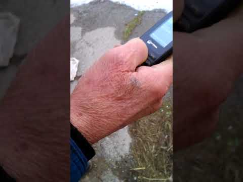 ВЫСТАВКА ГОЛУБЕЙ. Г. САЛЬСК. 02.18.