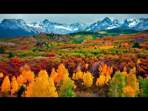 Vocal Liquid Drum and Bass Mix #41