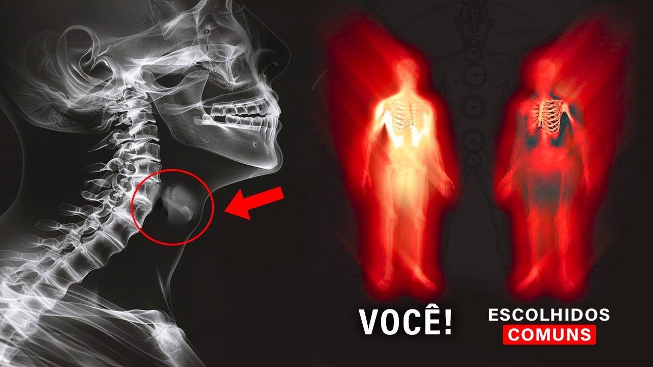 Se você está (VENDO ISSO), você é o ESCOLHIDO MAIS PODEROSO entre outros Escolhidos!!