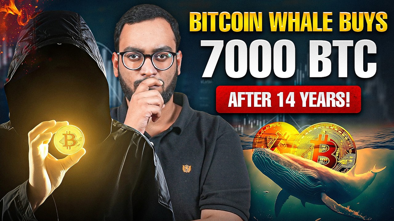 Whales Are Accumulating Bitcoin